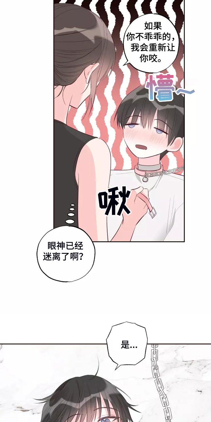 第72章：忘了的人4