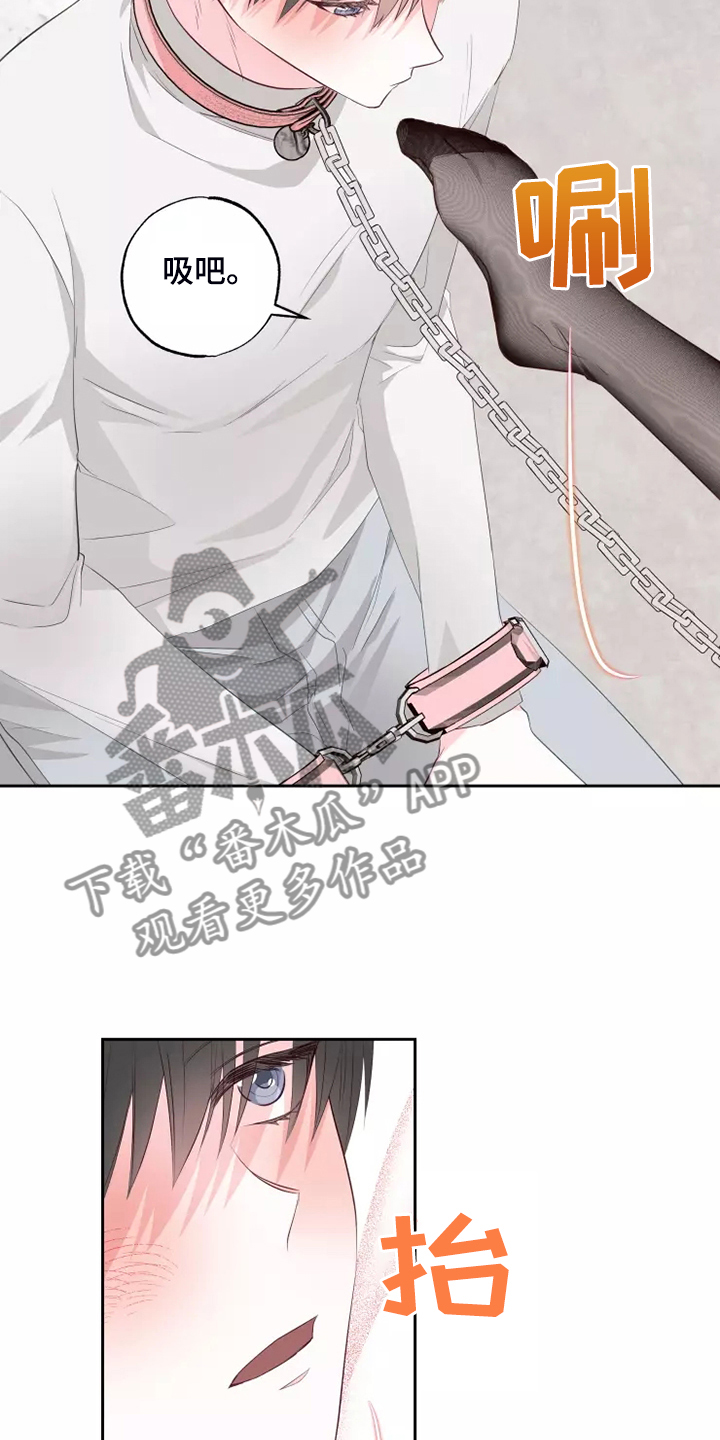 第69章：强中自有强中手12
