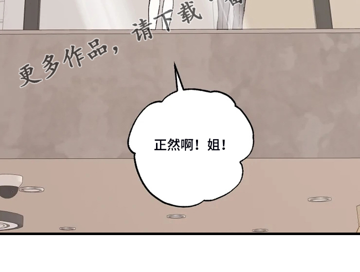 第46章：往上看19