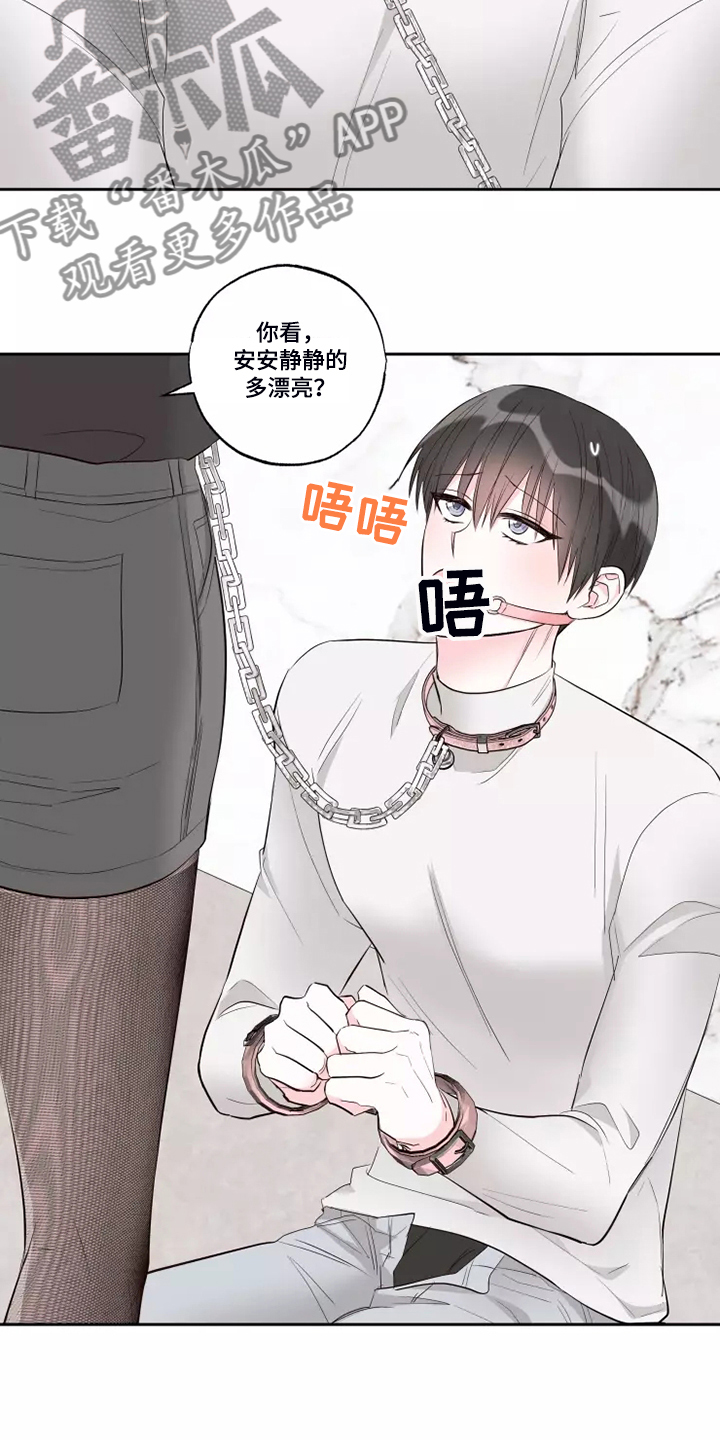 第70章：知道原因6