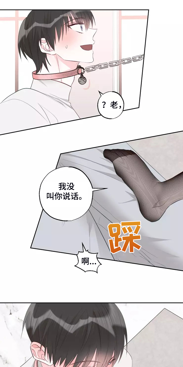 第69章：强中自有强中手11