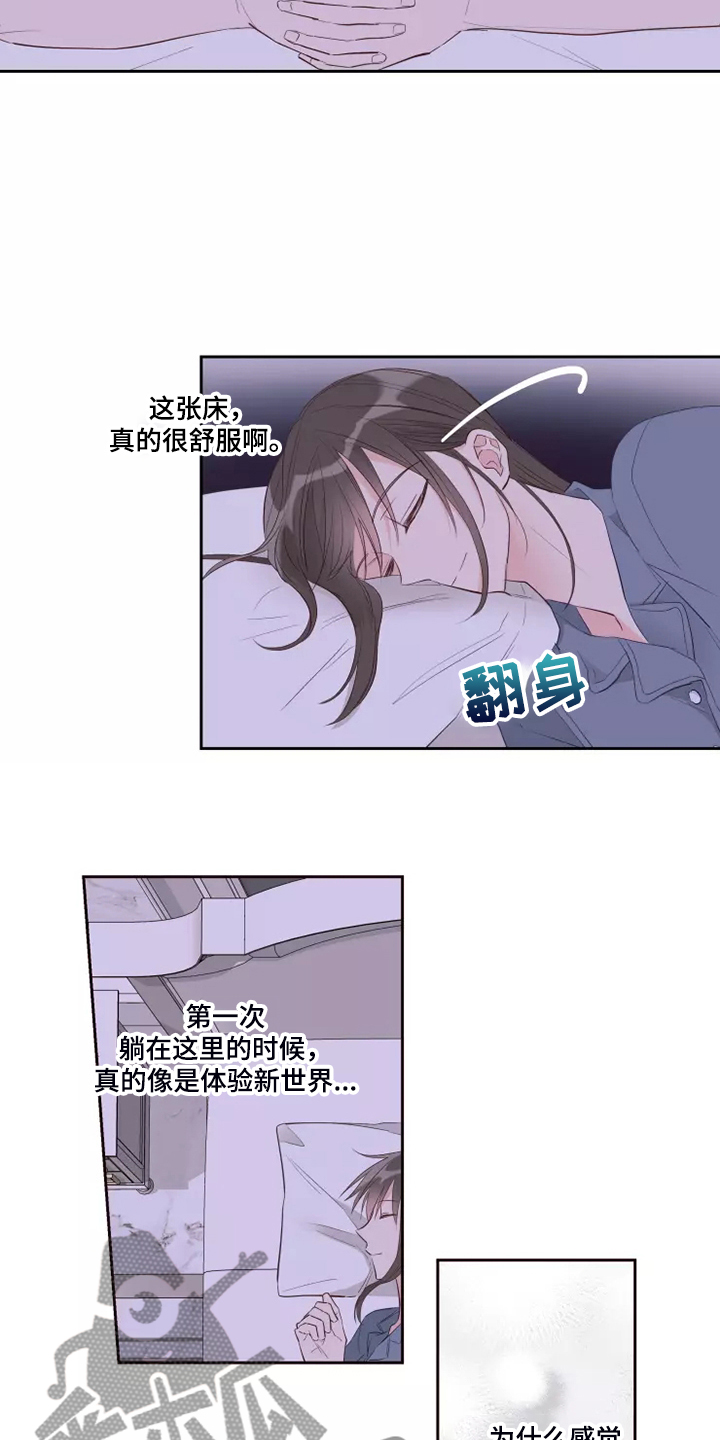 第67章：那就同归于尽吧11