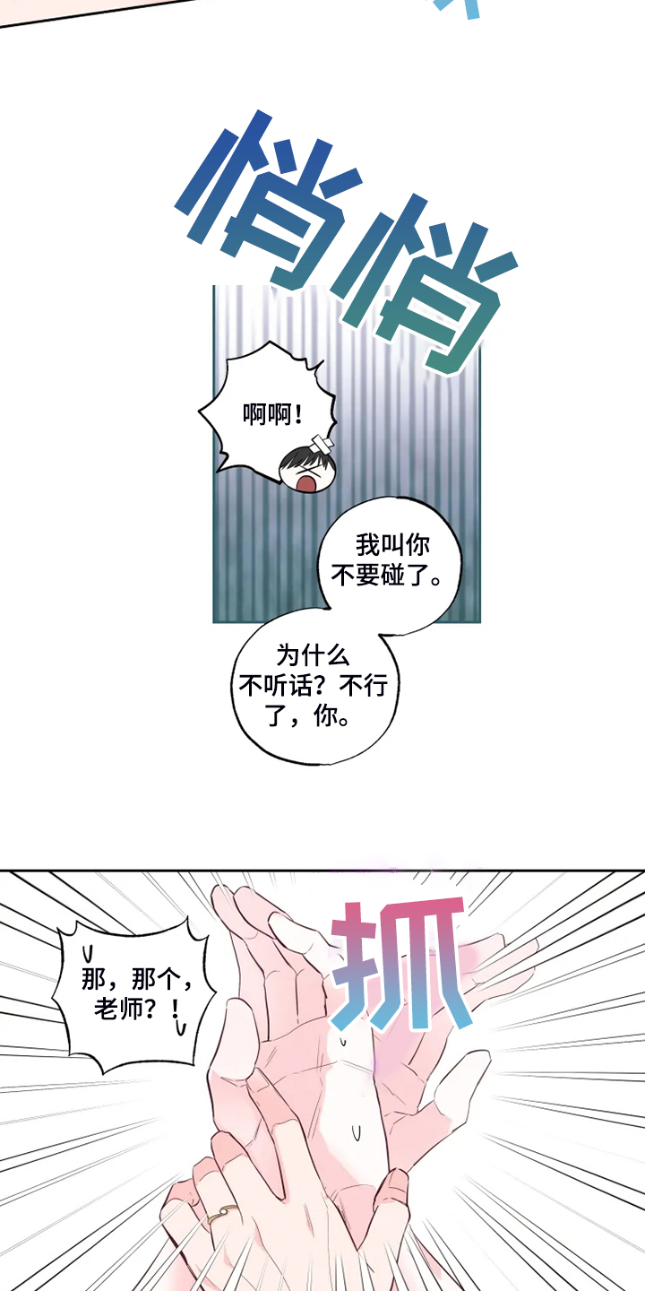 第64章：今天我做主5