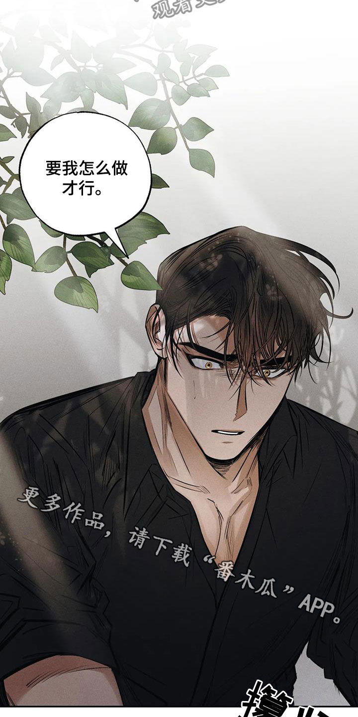 第61章：要我怎么做20