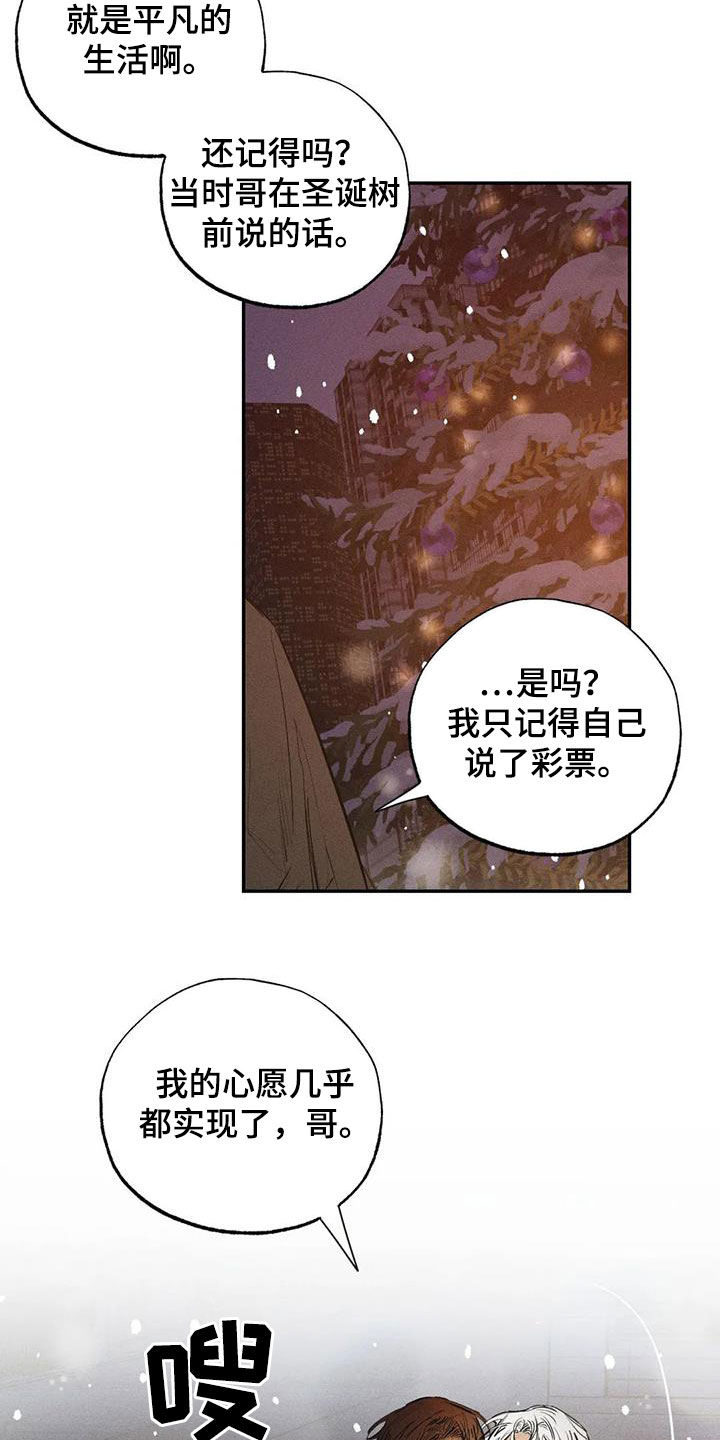 第102章：【番外完结】心愿实现12