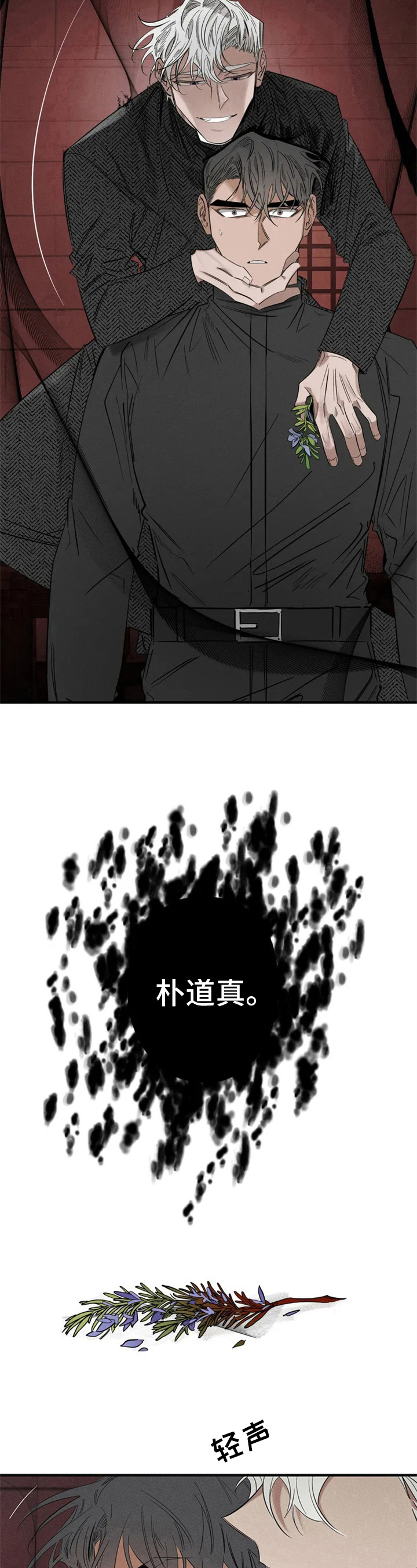 第3章：看见5