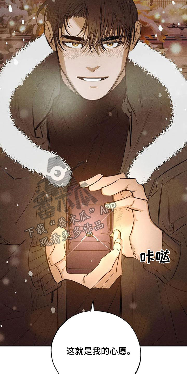 第102章：【番外完结】心愿实现17