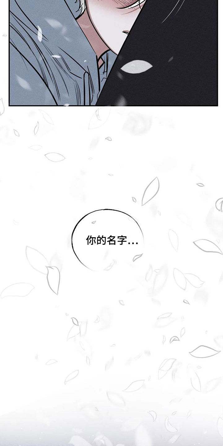 第95章：一塌糊涂17