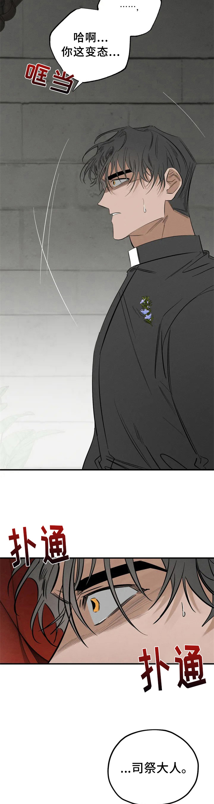 第3章：看见3