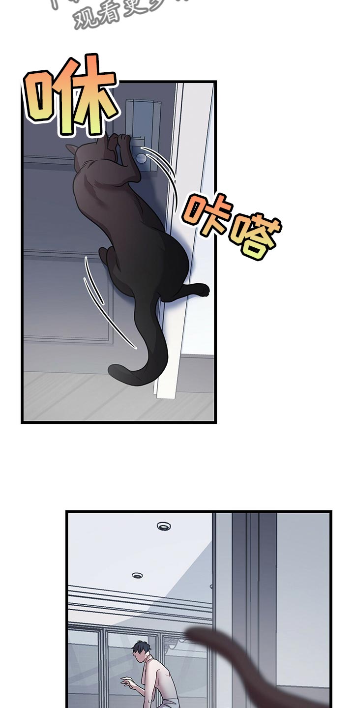 第29章：聪明的猫咪20