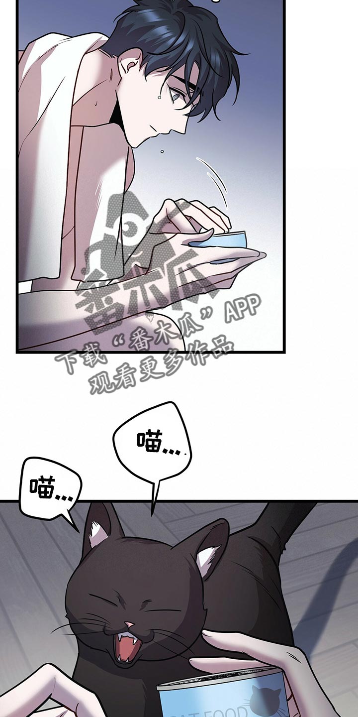 第29章：聪明的猫咪16