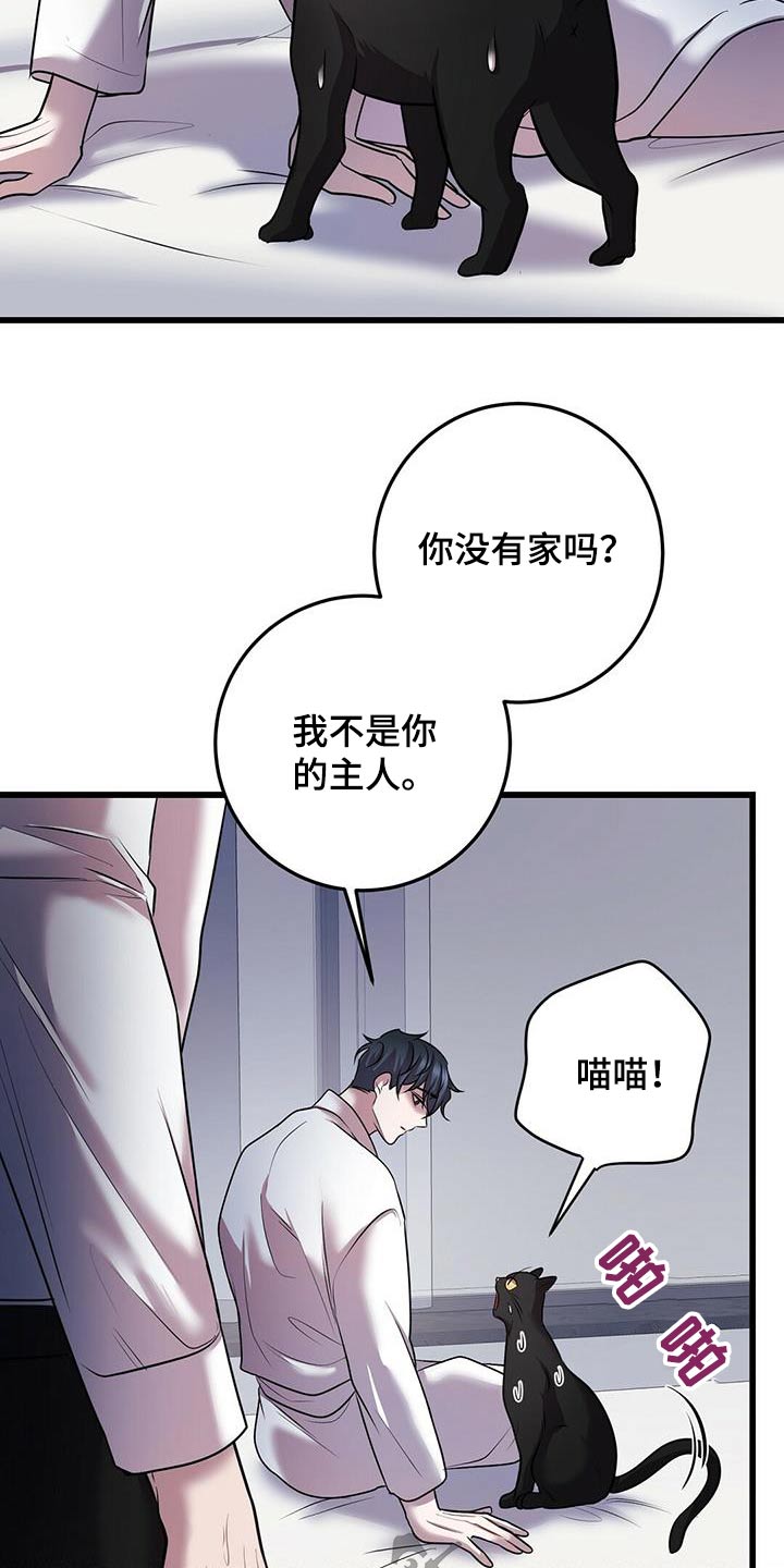 第58章：行动11