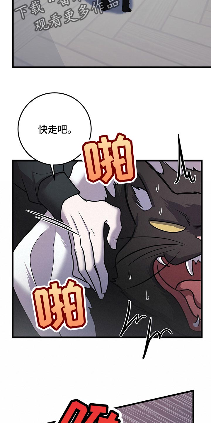 第29章：聪明的猫咪6