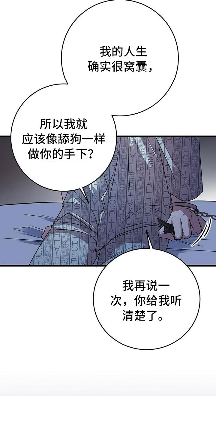 第12章：无法拒绝的20