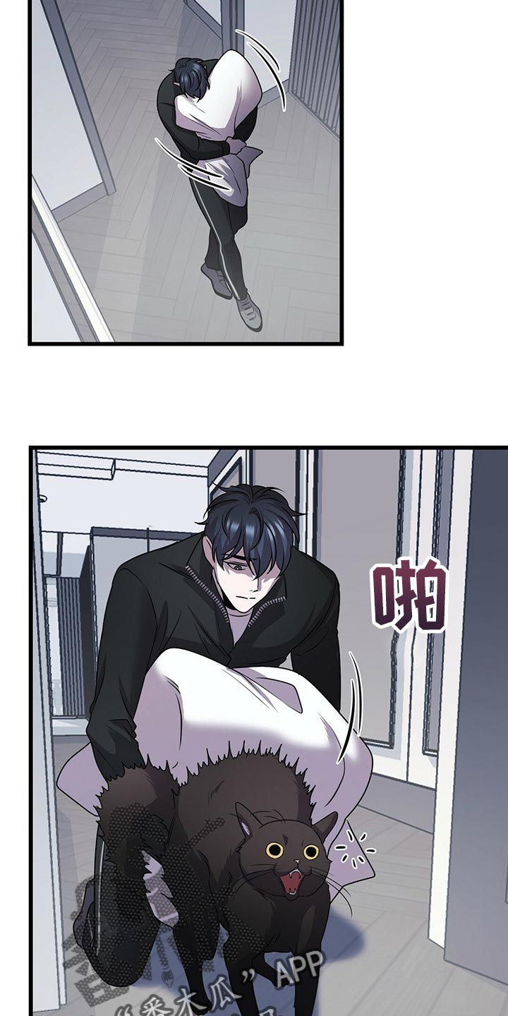 第29章：聪明的猫咪5