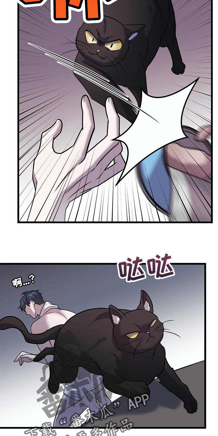 第29章：聪明的猫咪19
