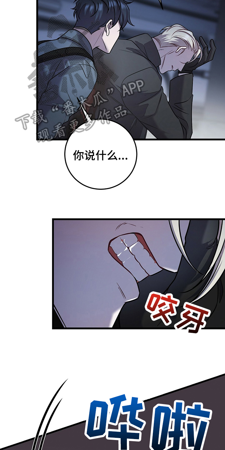 第37章：明白11