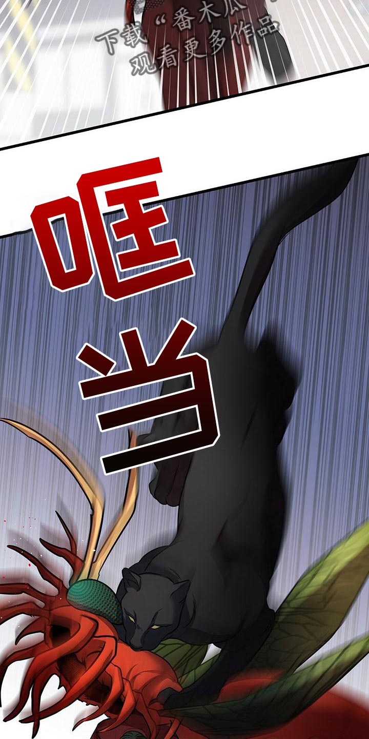 第51章：群体攻击7
