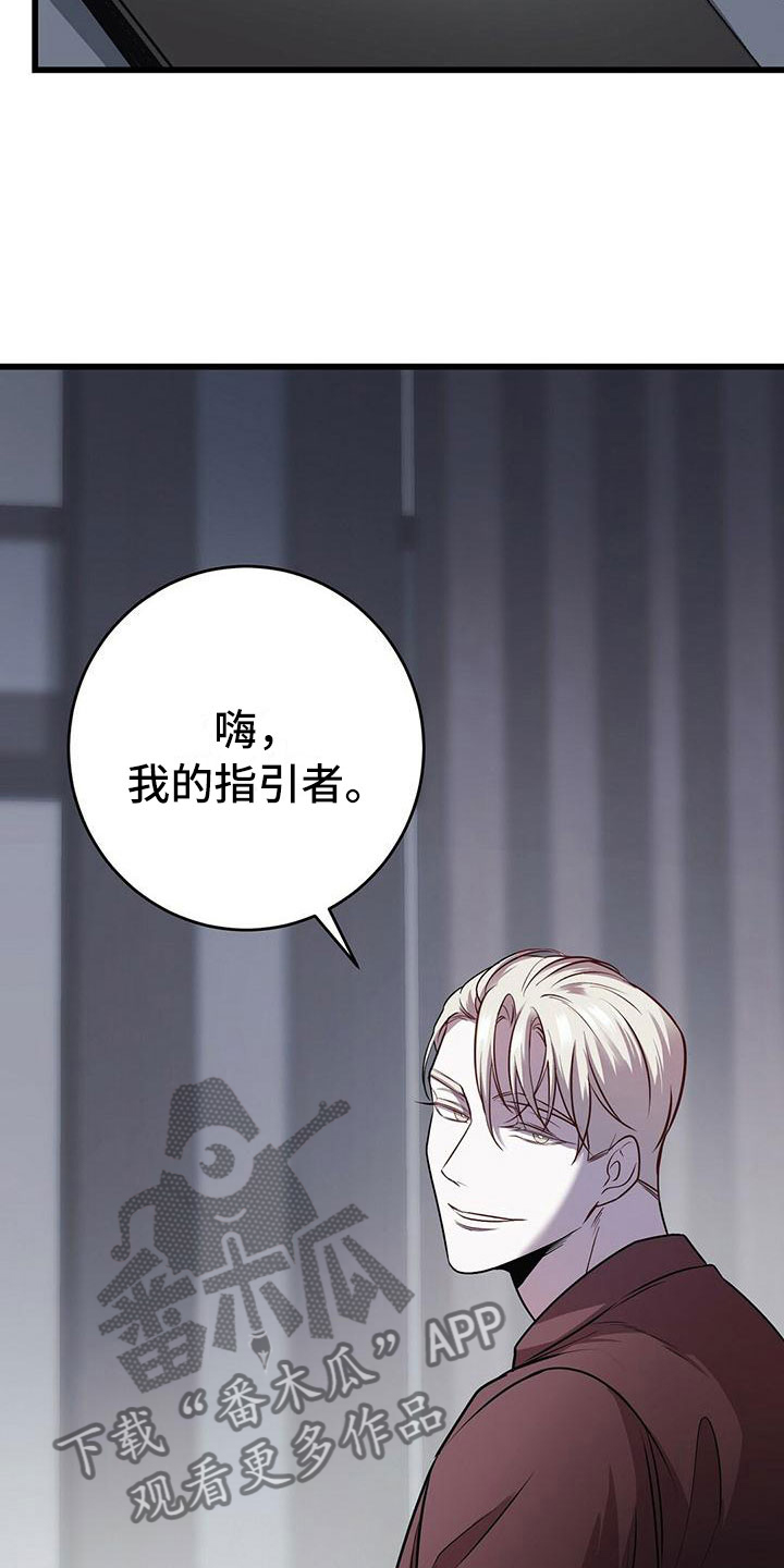第17章：检查5