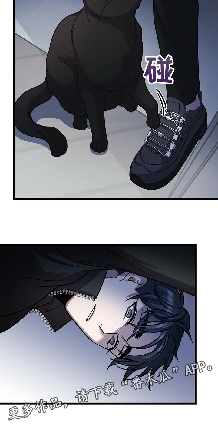第28章：黑猫19