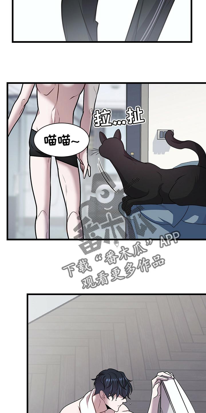 第29章：聪明的猫咪13