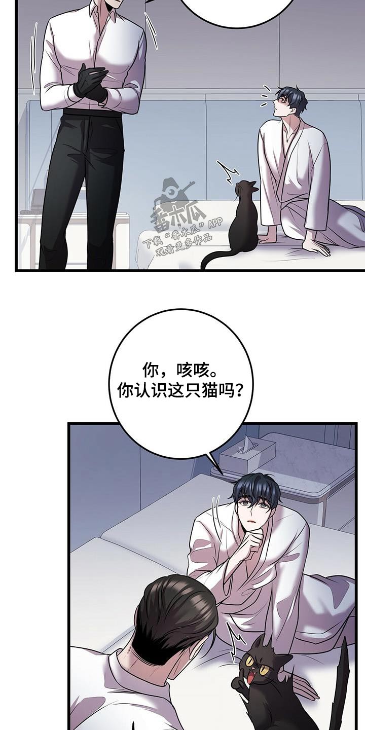 第58章：行动13