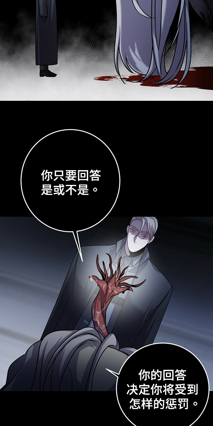 第36章：诱饵12