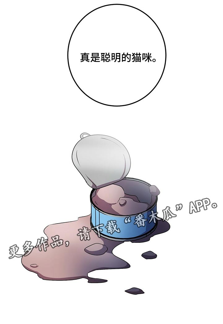 第29章：聪明的猫咪22