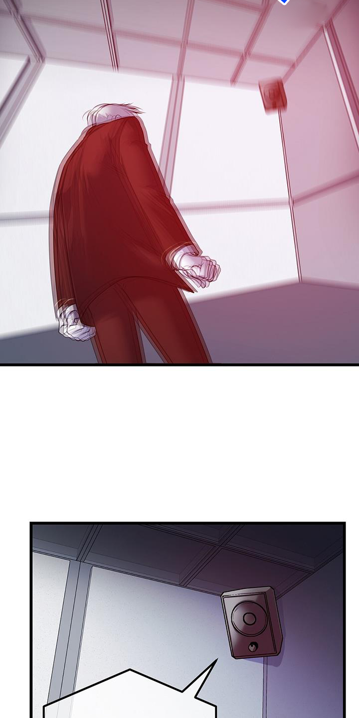 第81章：实验20