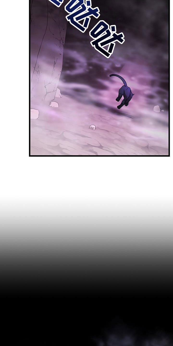 第67章：擒贼先擒王5