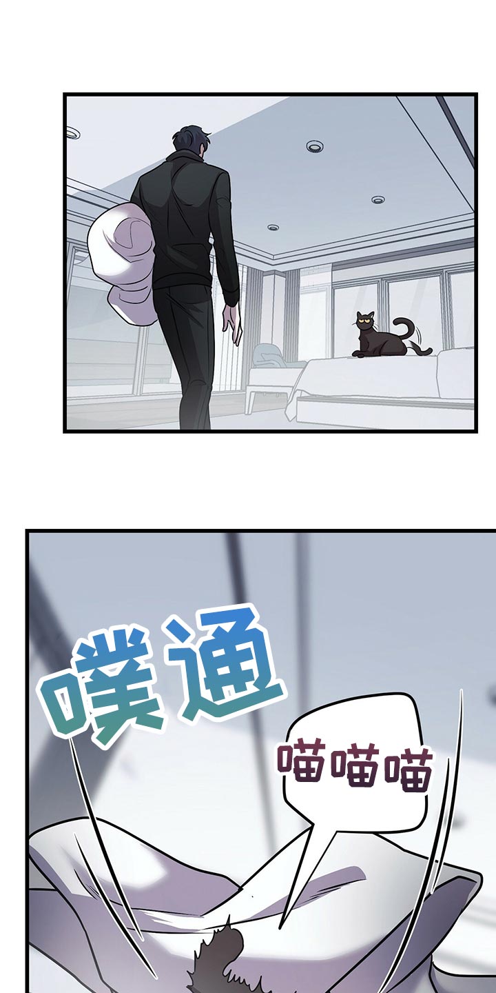 第29章：聪明的猫咪9