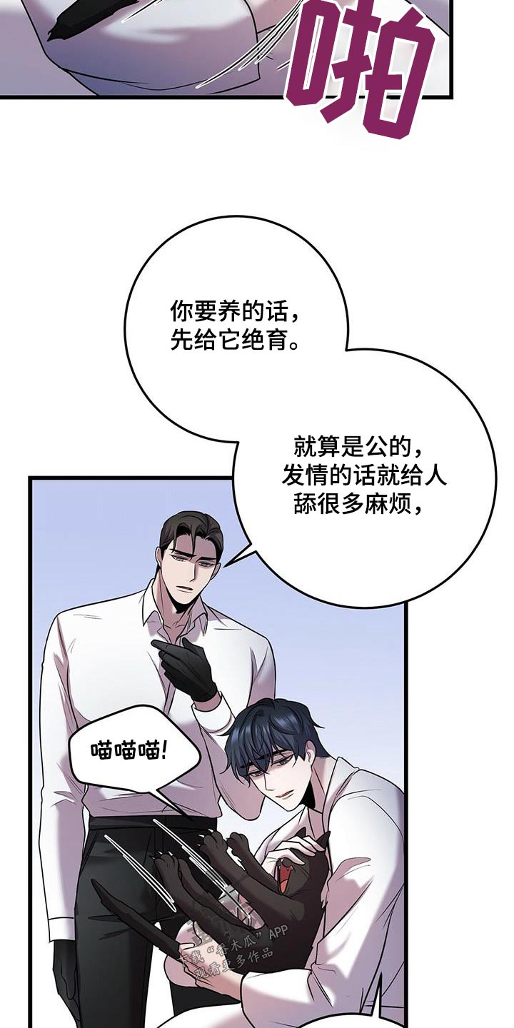 第58章：行动16
