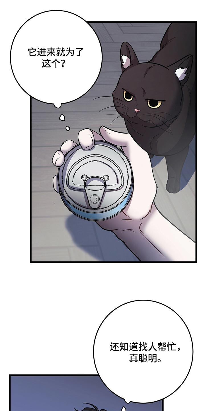 第29章：聪明的猫咪15