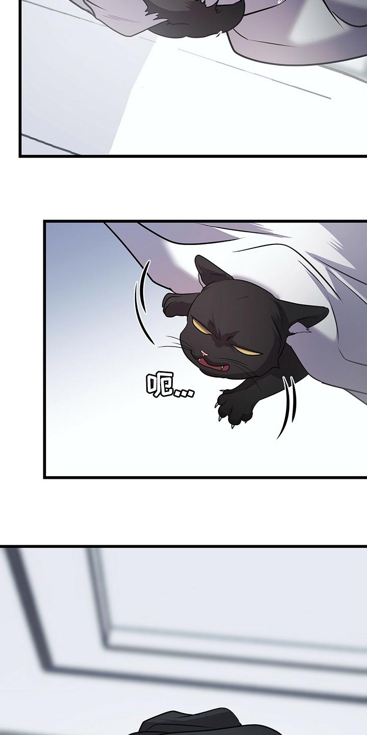 第29章：聪明的猫咪10