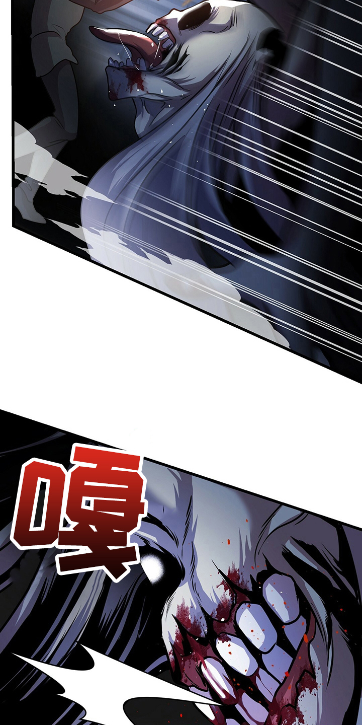 第34章：保护5