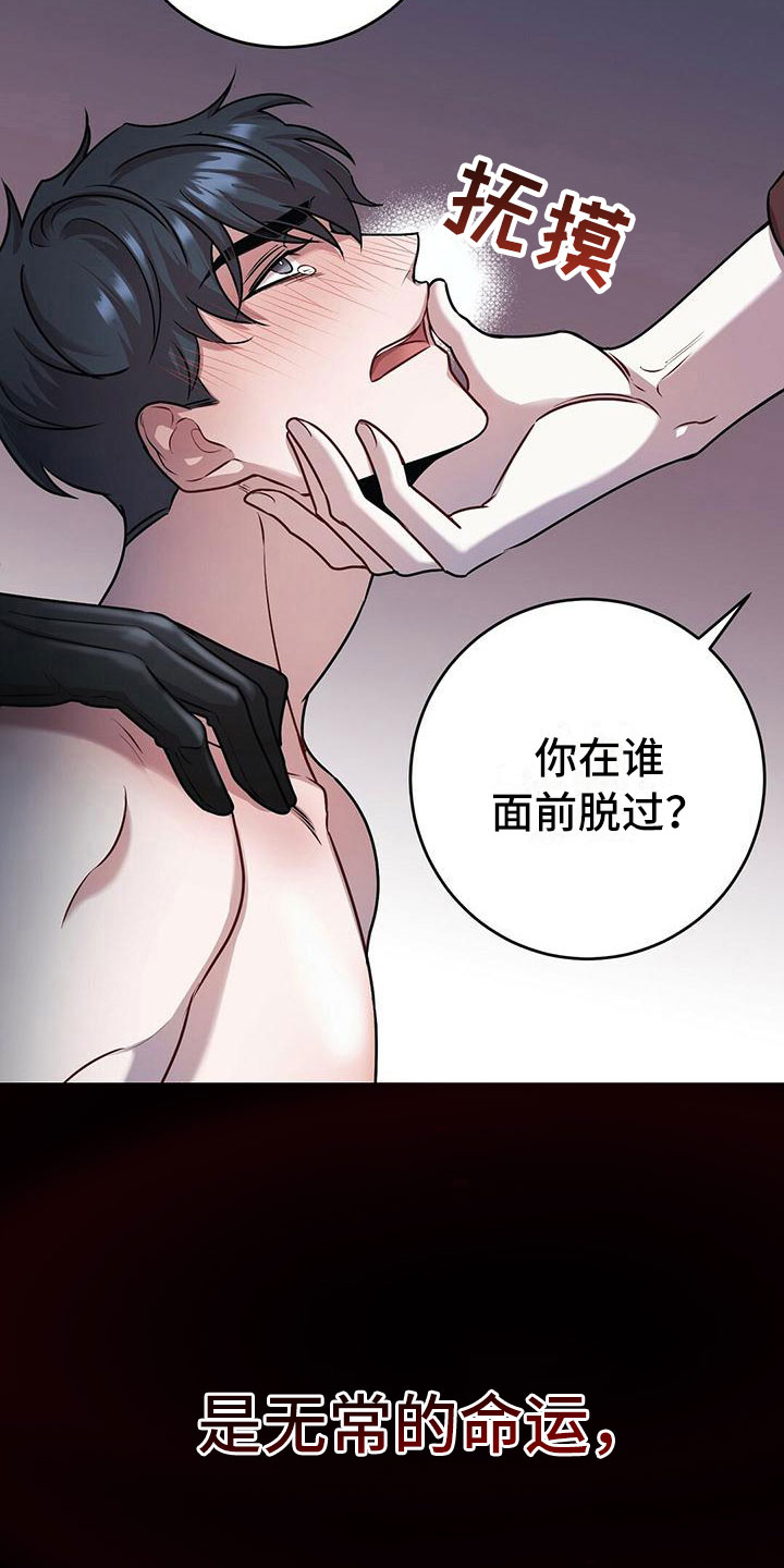 第1章：无序的命运3
