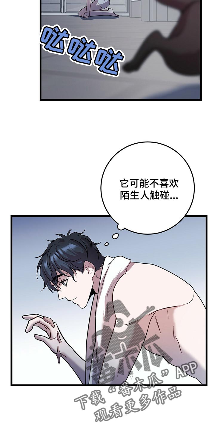 第29章：聪明的猫咪21