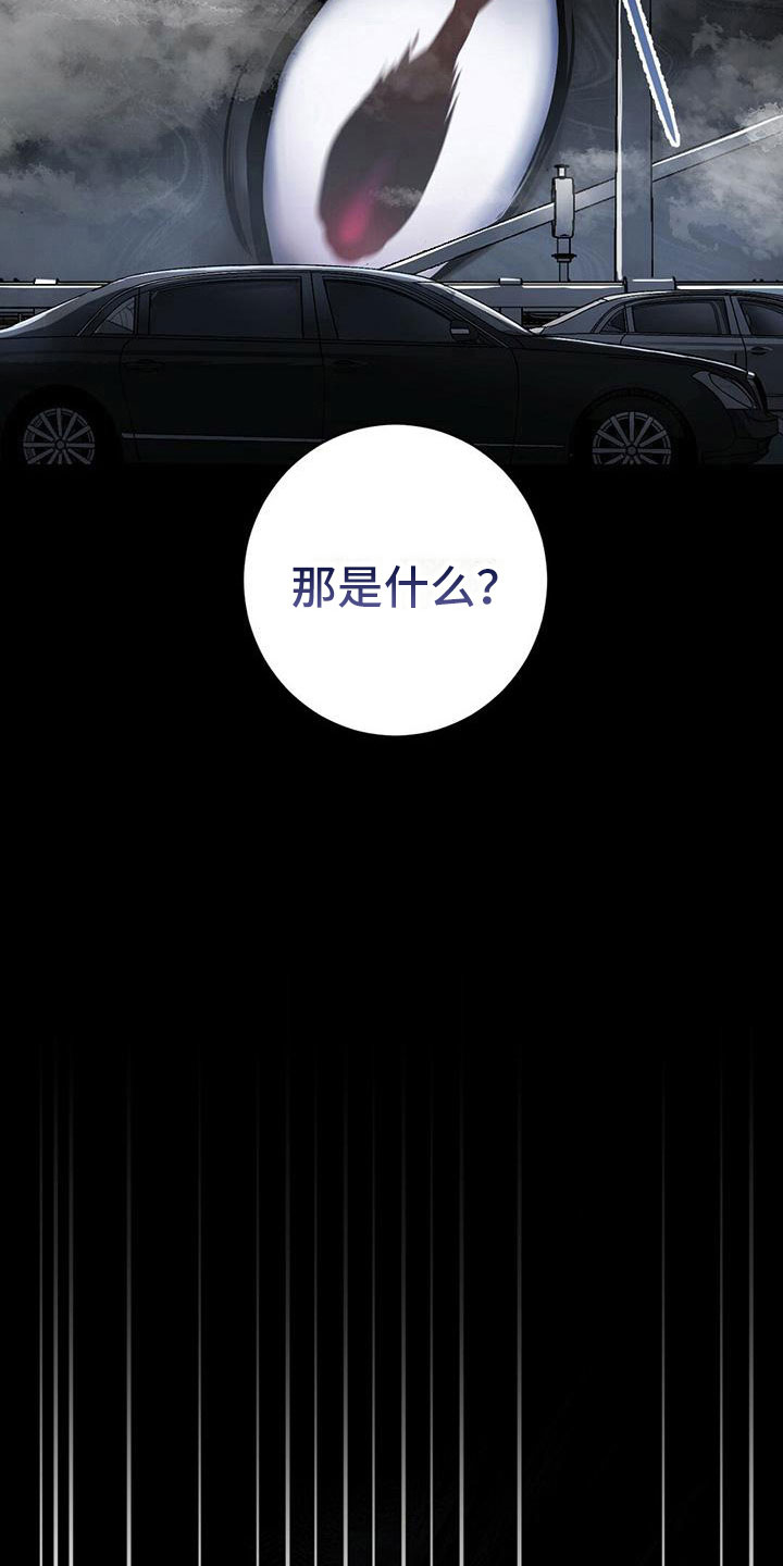 第1章：无序的命运15
