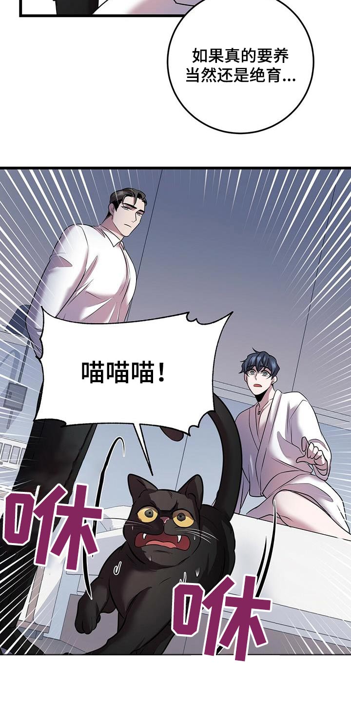 第58章：行动17
