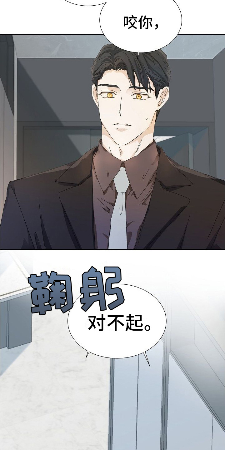 第18章：道歉17