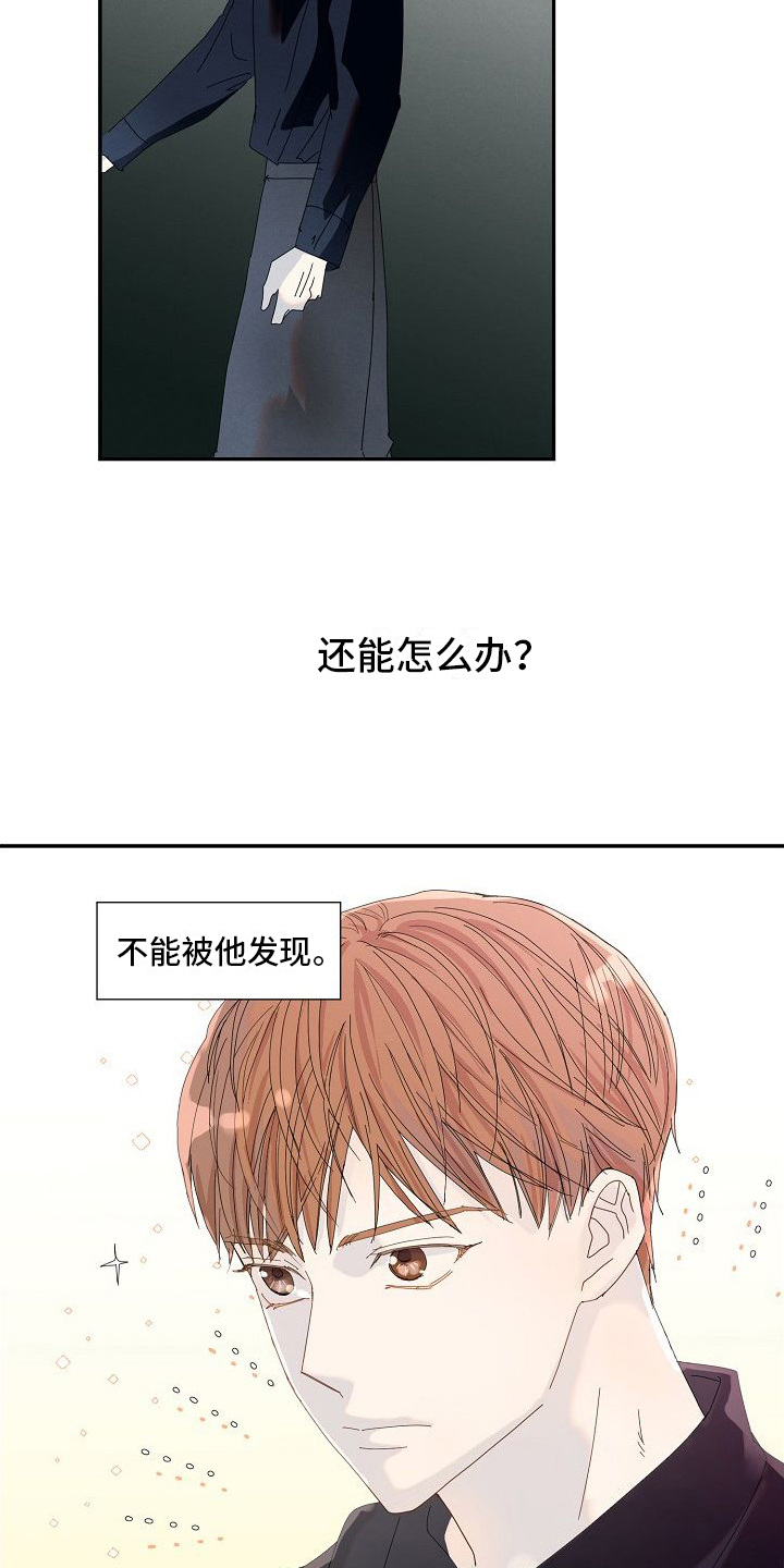 第11章：光环21