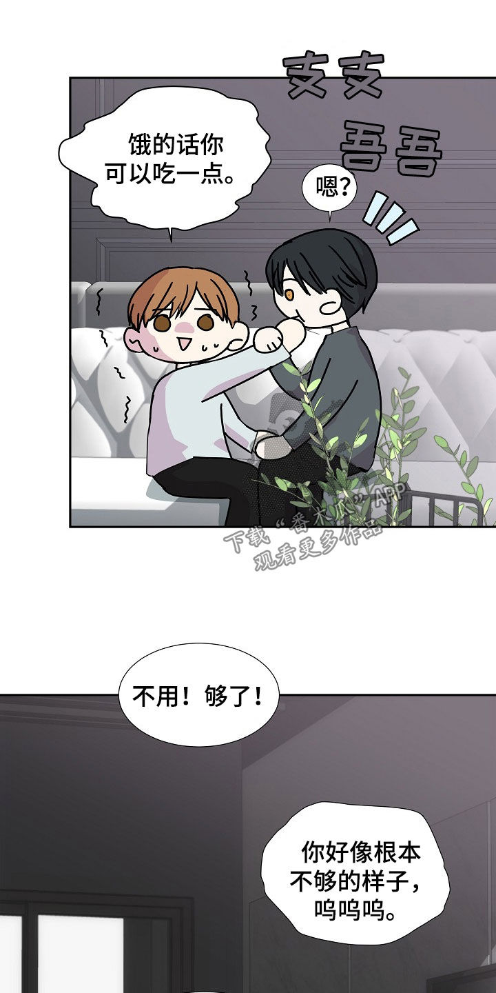第29章：调查13