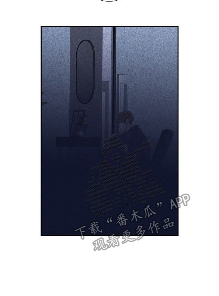 第13章：停止采血19
