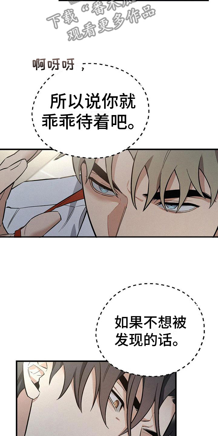 第7章：疯狂举动6