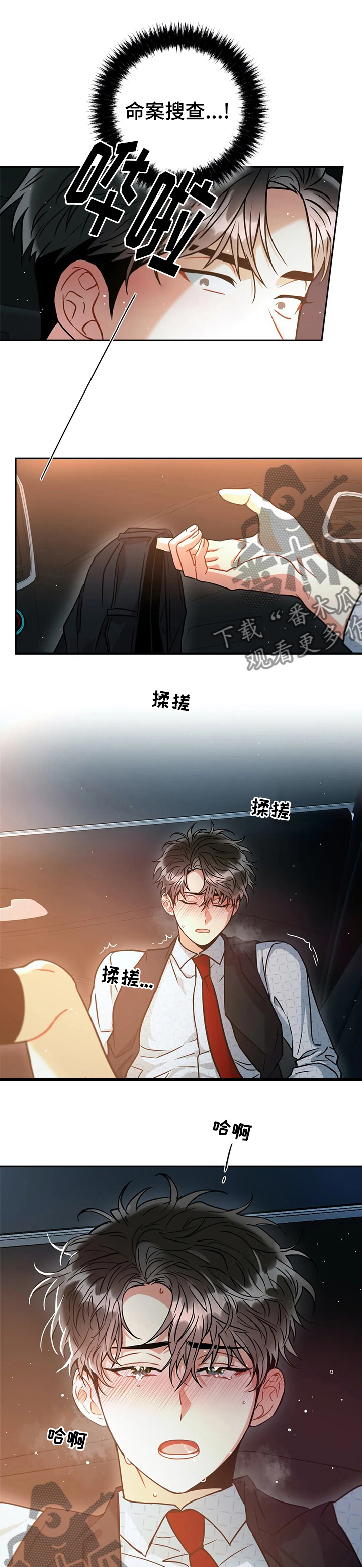 第46章：命令搜查5