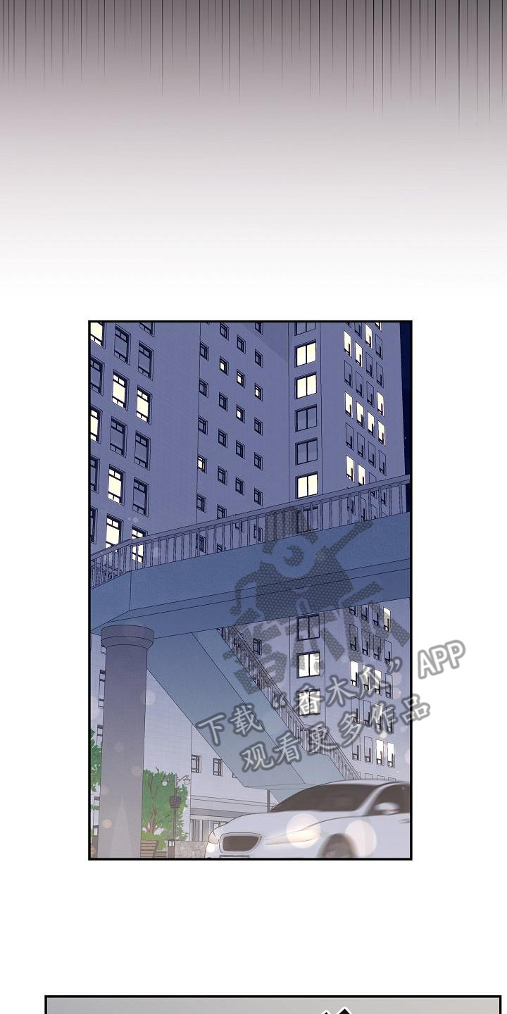 第7章：理想型20
