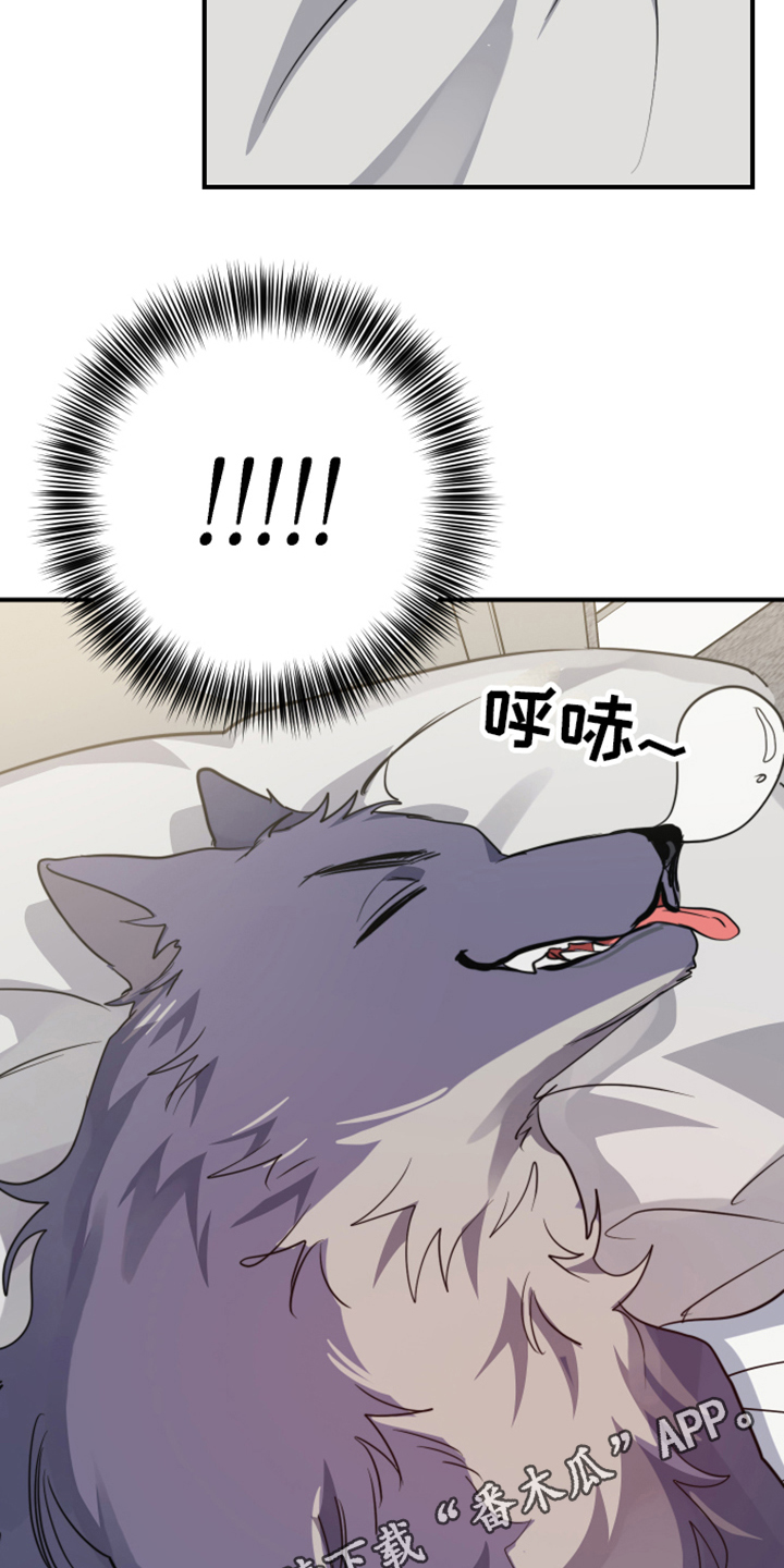 第9章：清醒19