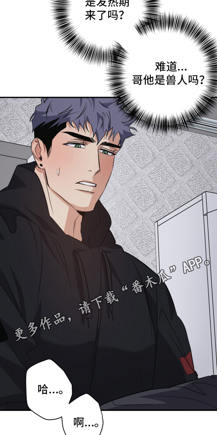 第6章：看望19