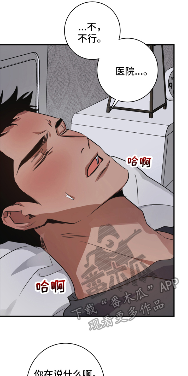 第6章：看望17