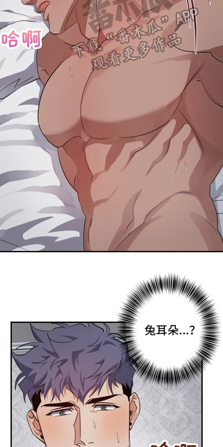第8章：兔子兽人5